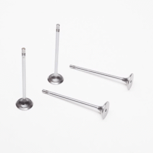 Válvula de Escape do Alfa Romeo 145 1.8 16V 1998/99 Fabricante -TAKAO