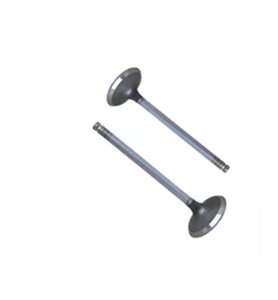 Válvula de Escape do Chery Celer 1.5 16V BL.SQR477 12/18 FLEX