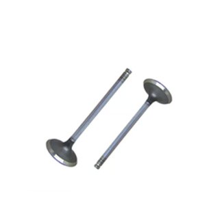 Válvula de Escape do Chery Celer 1.5 16V BL.SQR477 12/18 FLEX