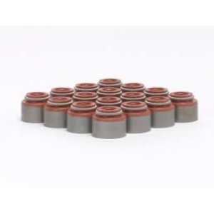 Retentor de Válvulas do Chery Cielo 1.6 16V BL.SQR481 10/15 GAS