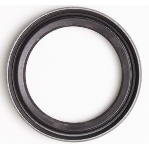Retentor Dianteiro do Chery Cielo 1.6 16V BL.SQR481 10/15 GAS