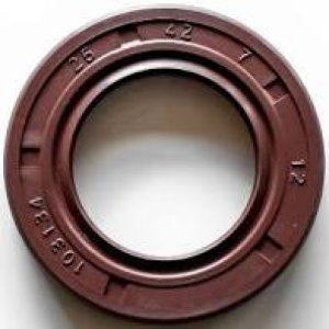 Retentor do Comando de Válvulas do Chery Cielo 1.6 16V BL.SQR481 10/15 GAS