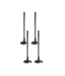 Válvula de Escape do Chery S-18 1.3 16V BL.SQR473 10/18 FLEX