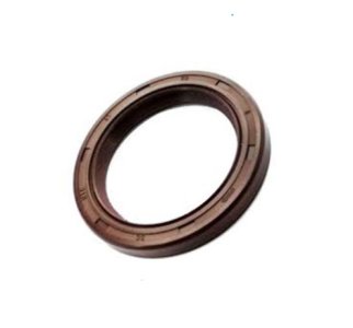Retentor do Comando de Válvulas do Chery Tiggo 2.0 16V BL.SQR484 10/15 GAS