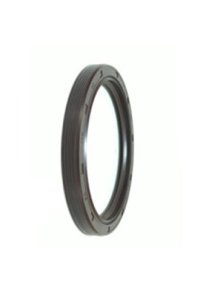 Retentor Traseiro do Chery Tiggo 2.0 16V BL.SQR484 10/15 GAS