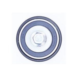 Tensor da Correia do Comando de Válvulas do Chery Tiggo 2.0 16V BL.SQR484 10/15 GAS (Fixo)